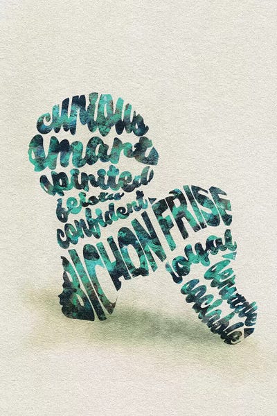 Bichon Frises: Bichon Frise by Ayse Deniz Akerman