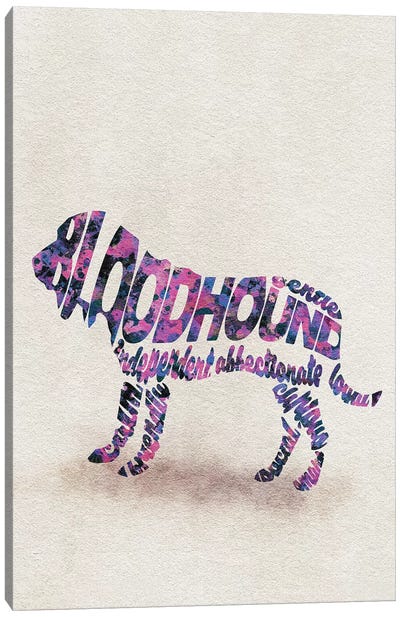 Bloodhound Canvas Art Print - Typographic Dogs