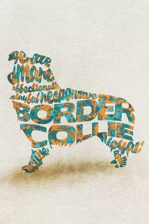 Border Collie by Ayse Deniz Akerman wall art