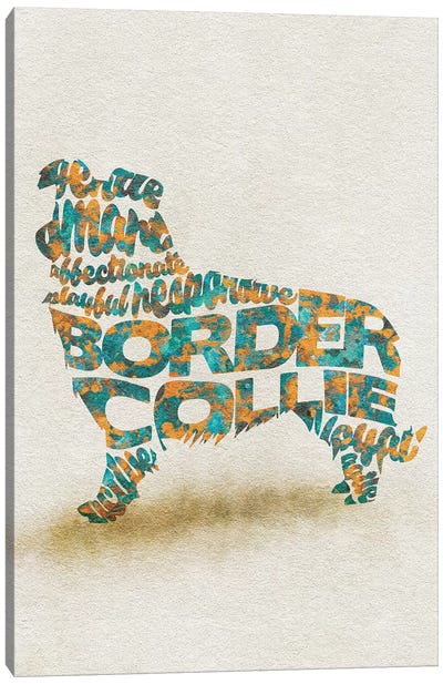 Border Collie Canvas Art Print - Typographic Dogs