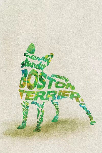 Boston Terrier Art Print By Ayse Deniz Akerman ICanvas   ADA14