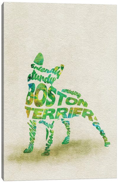 Boston Terrier Canvas Art Print - Typographic Dogs