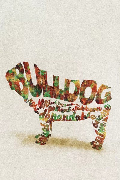 British Bulldog by Ayse Deniz Akerman metal wall art