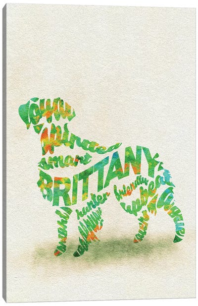 Brittany Spaniel Canvas Art Print