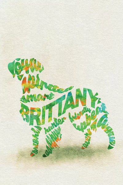 Spaniels: Brittany Spaniel by Ayse Deniz Akerman