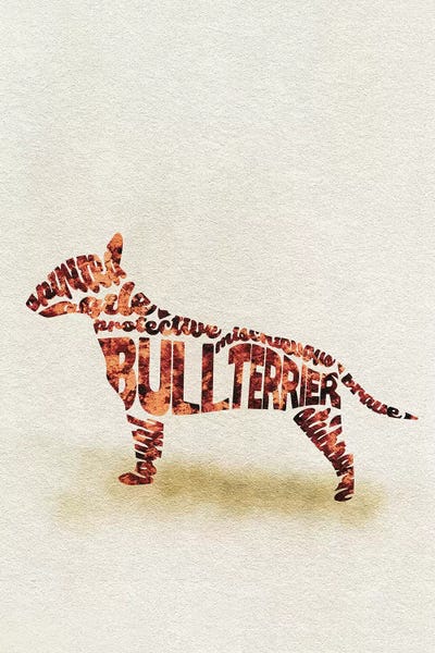 Bull Terriers: Bull Terrier by Ayse Deniz Akerman