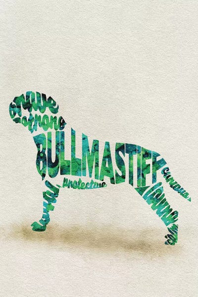Bullmastiffs: Bullmastiff by Ayse Deniz Akerman