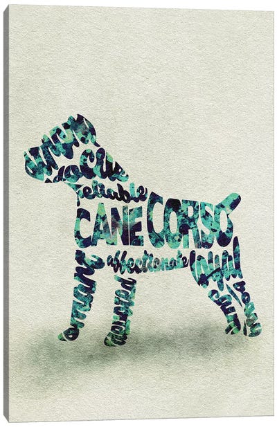 Cane Corso Canvas Art Print - Typographic Dogs