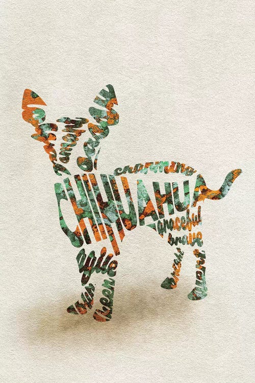 Chihuahua by Ayse Deniz Akerman wall art