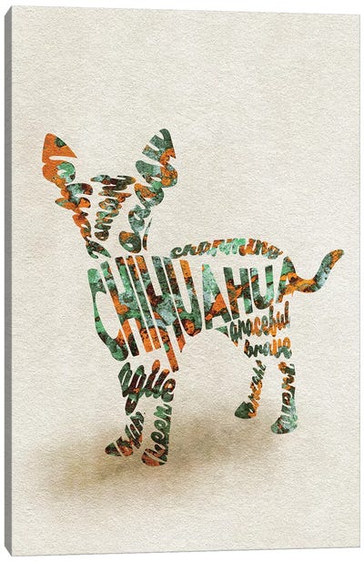 Chihuahua Canvas Art Print - Ayse Deniz Akerman