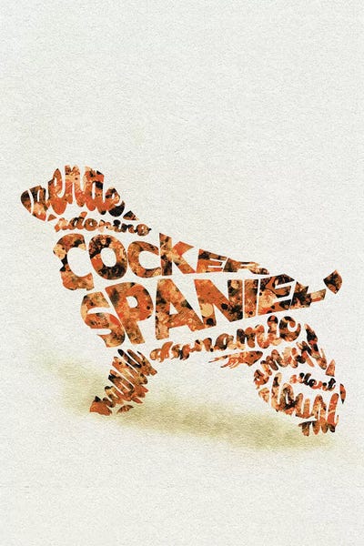 Spaniels: Cockerspaniel by Ayse Deniz Akerman
