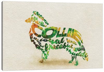 Collie Canvas Art Print - Typographic Dogs