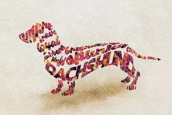Dachshunds: Dachshund by Ayse Deniz Akerman