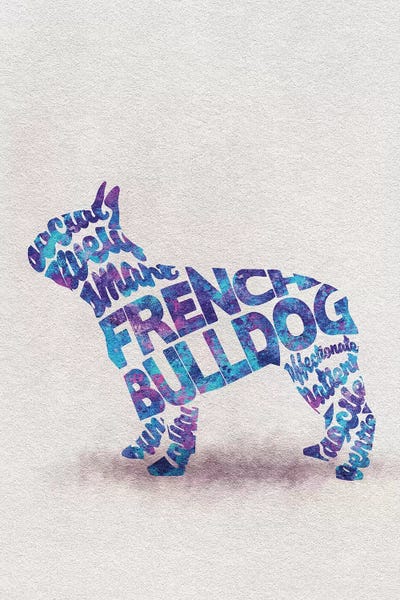 French Bulldogs: French Bulldog by Ayse Deniz Akerman