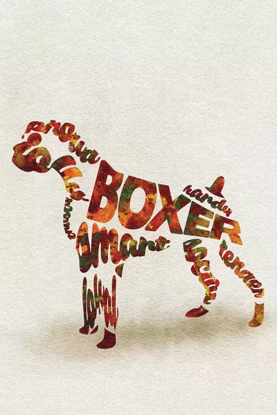 Boxers: German Boxer by Ayse Deniz Akerman