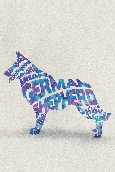 German Shepherds: German Shepherd by Ayse Deniz Akerman
