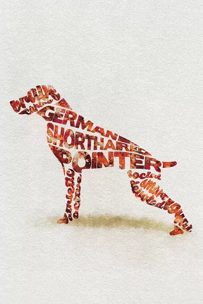 German Shorthaired Pointers: German Shorthaired Pointer by Ayse Deniz Akerman
