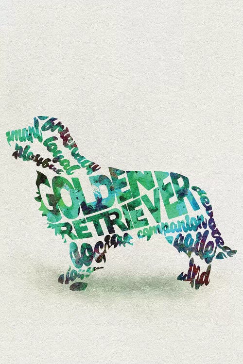 Golden Retriever by Ayse Deniz Akerman wall art