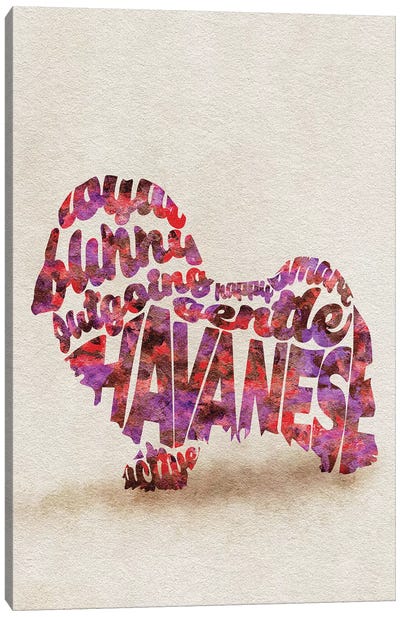 Havanese Canvas Art Print - Typographic Dogs