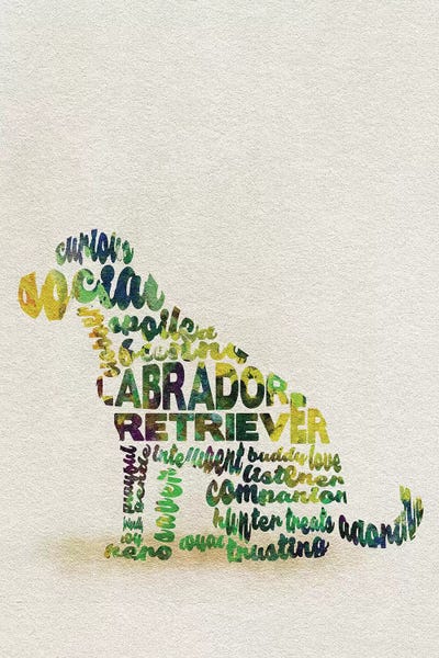 Labrador Retriever by Ayse Deniz Akerman canvas print