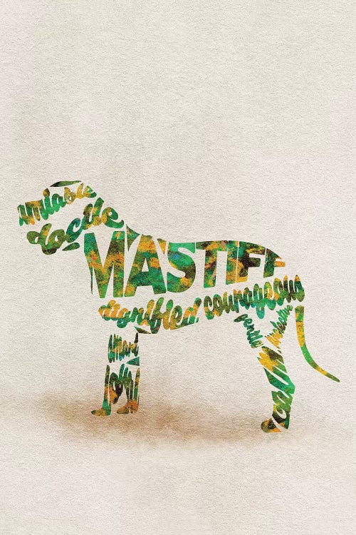 Mastiff