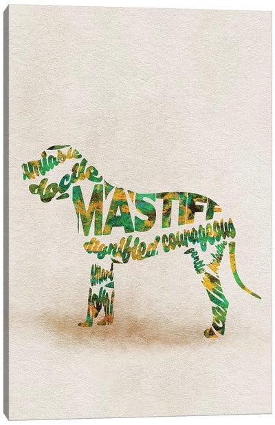 Mastiff Canvas Art Print - Typographic Dogs