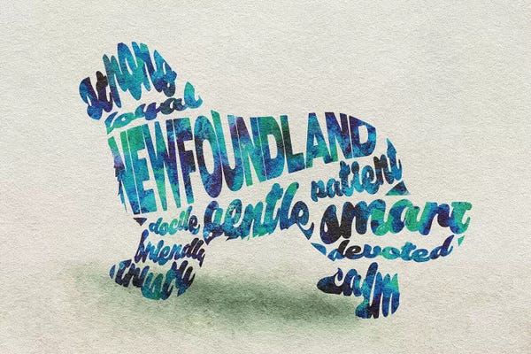 Newfoundlands: Newfoundland by Ayse Deniz Akerman