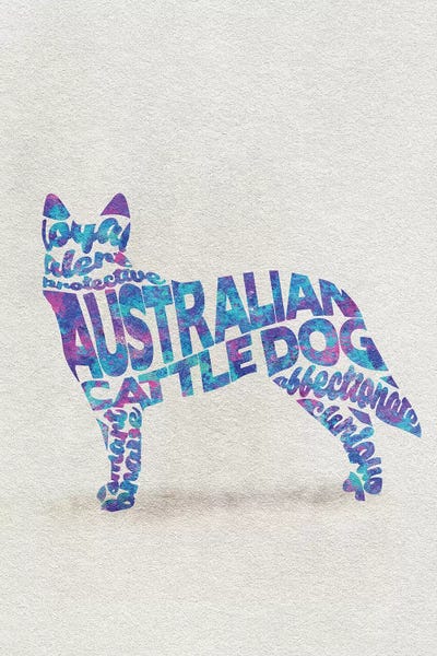 Australian Cattle Dogs: Australian Cattle Dog by Ayse Deniz Akerman