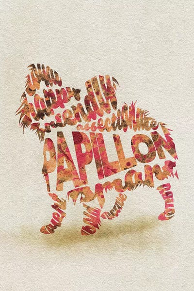 Spaniels: Papillon by Ayse Deniz Akerman