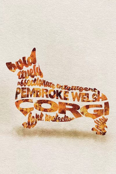 Corgis: Pembroke Welsh Corgi by Ayse Deniz Akerman