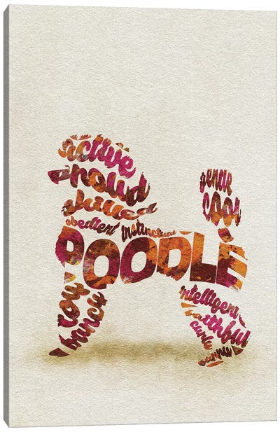 Poodle Canvas Art Print - Typographic Dogs