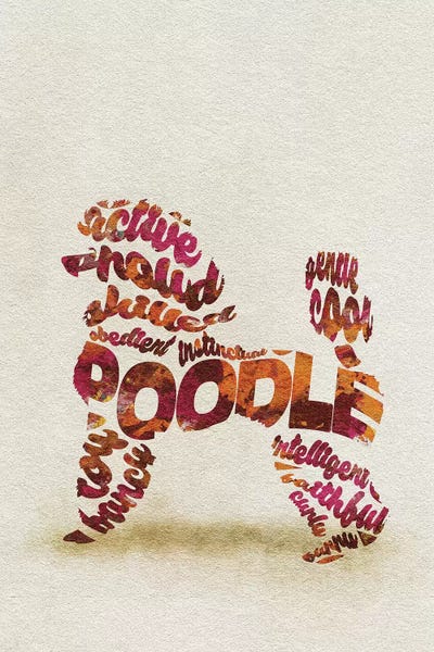 Poodles: Poodle by Ayse Deniz Akerman