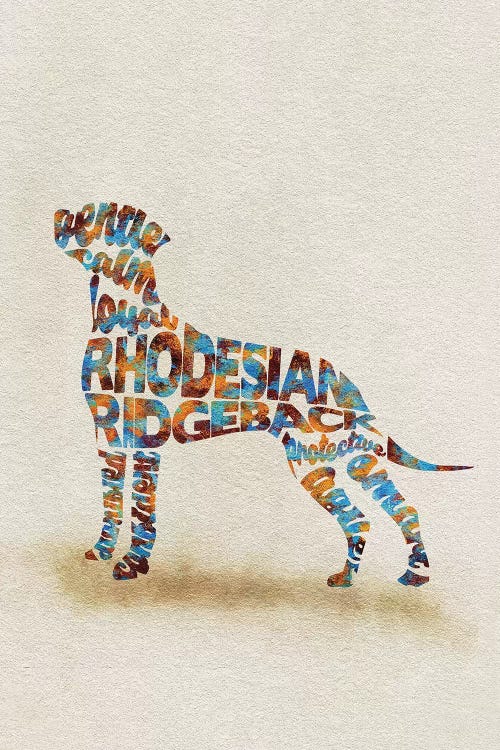 Rhodesian Ridgeback