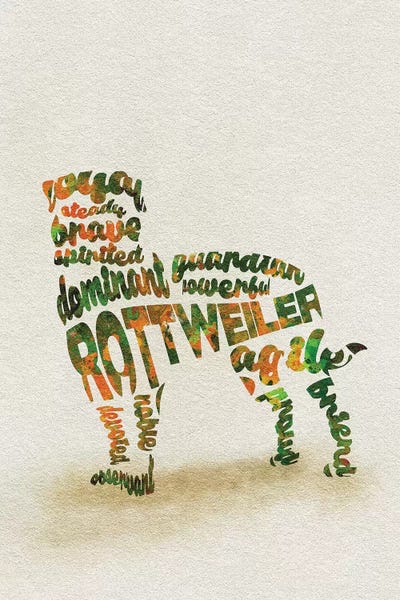 Rottweiler by Ayse Deniz Akerman framed wall art