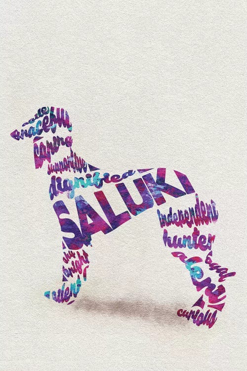 Saluki