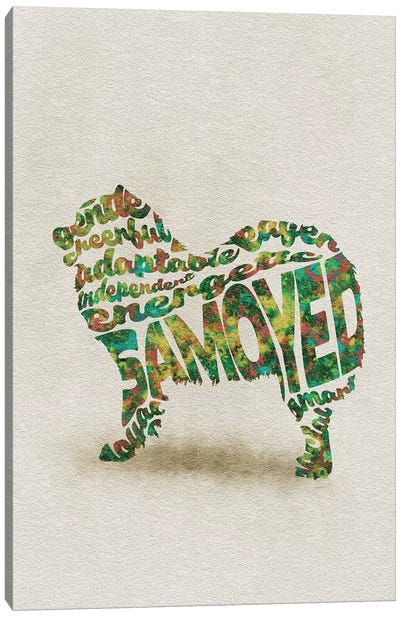 Samoyed Canvas Art Print - Typographic Dogs