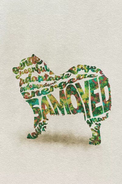 Samoyeds: Samoyed by Ayse Deniz Akerman