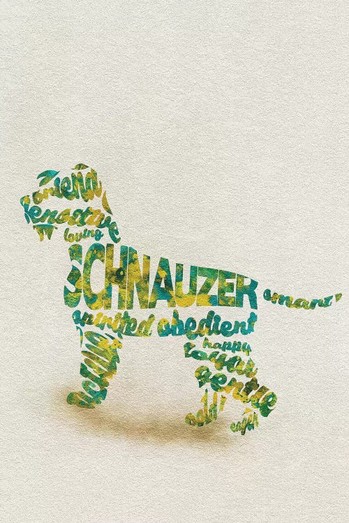 Schnauzer by Ayse Deniz Akerman wall art