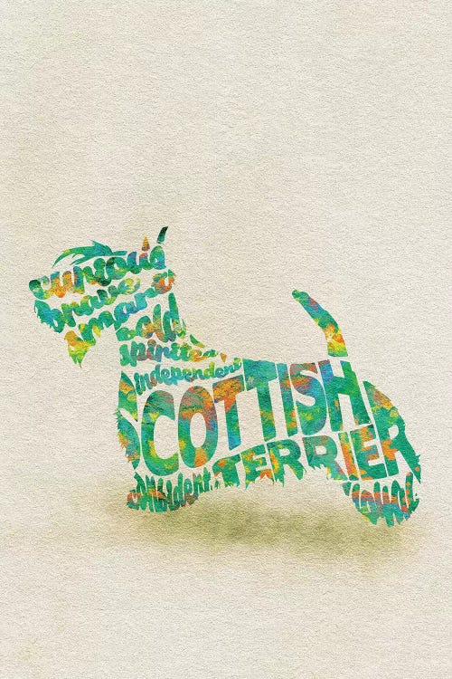 Scottish Terrier by Ayse Deniz Akerman wall art