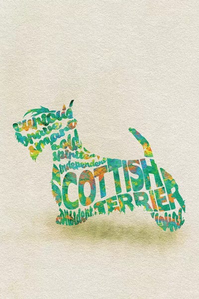 Scottish Terriers: Scottish Terrier by Ayse Deniz Akerman