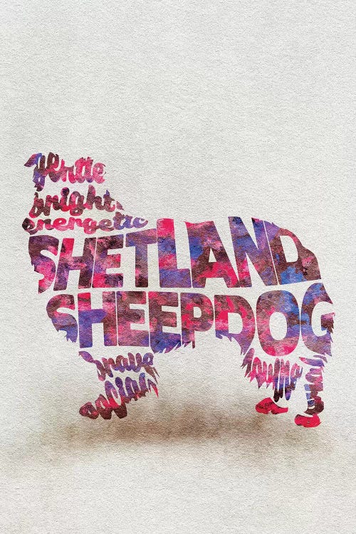 Shetland Sheepdog by Ayse Deniz Akerman wall art