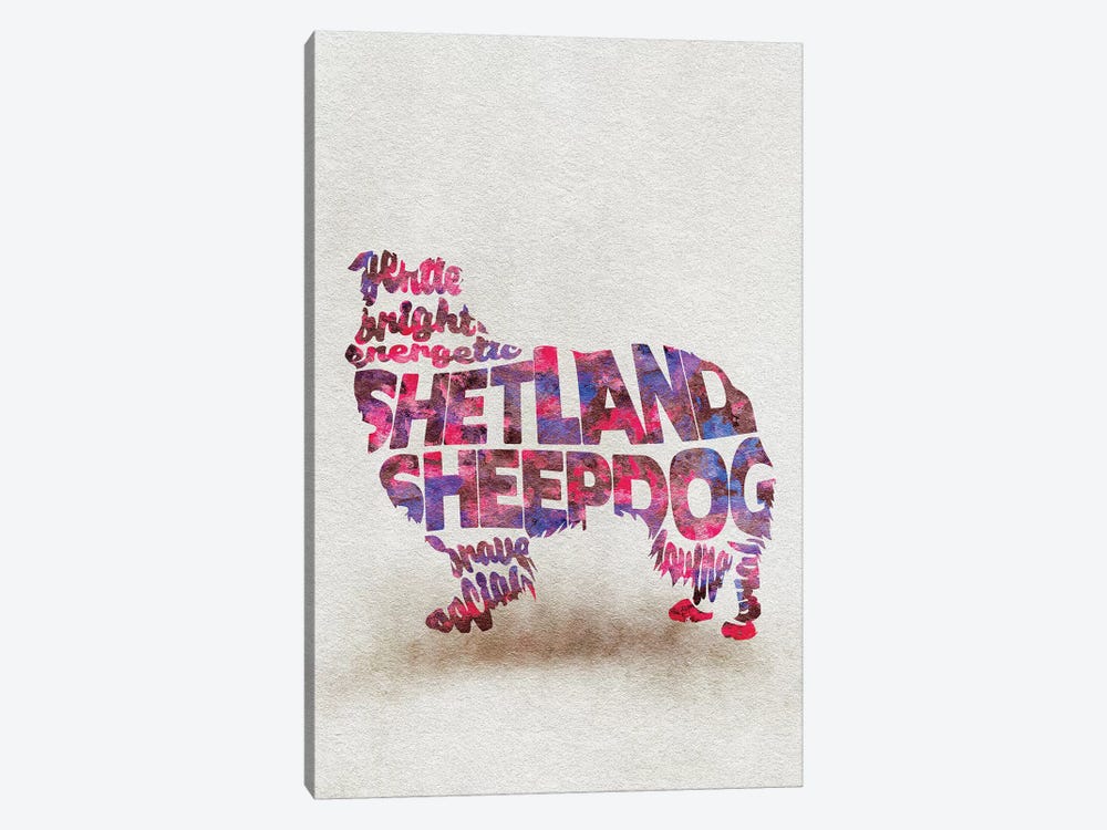 Shetland Sheepdog by Ayse Deniz Akerman 1-piece Canvas Art Print