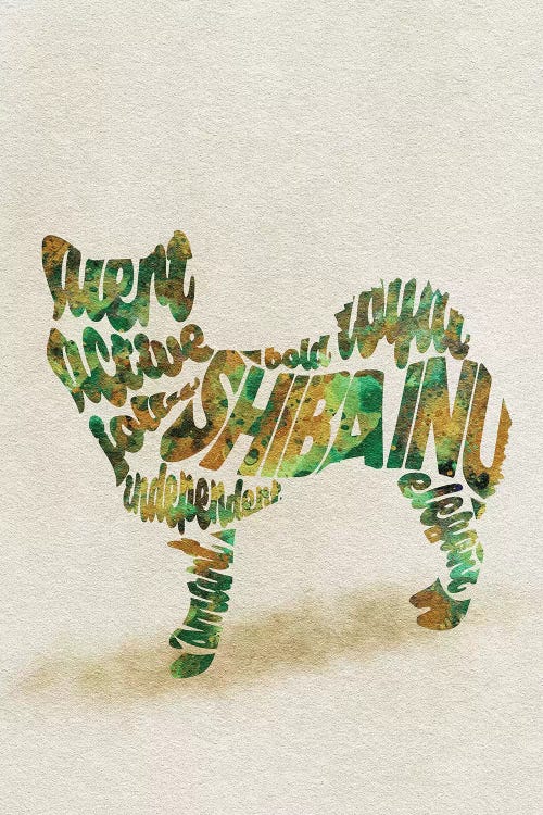 Shiba Inu by Ayse Deniz Akerman wall art