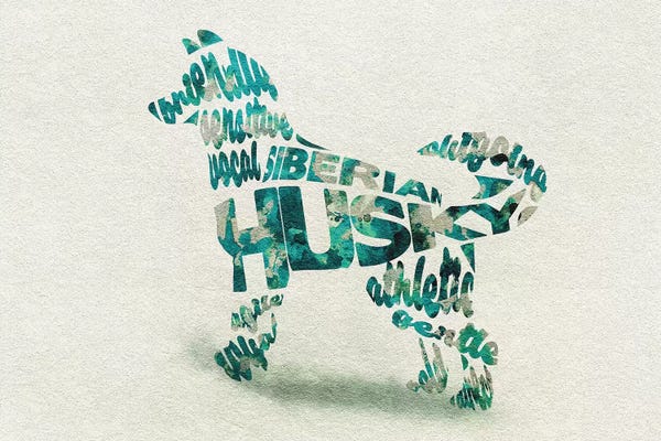 Siberian Huskies: Siberian Husky by Ayse Deniz Akerman