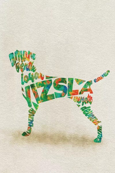 Ayse Deniz Akerman: Vizsla by Ayse Deniz Akerman