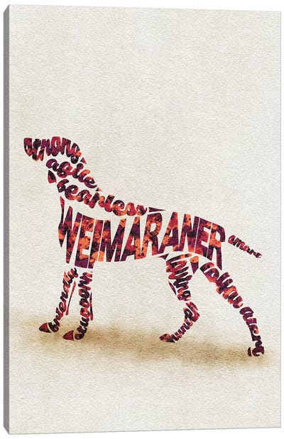 Weimaraner Canvas Art Print - Typographic Dogs