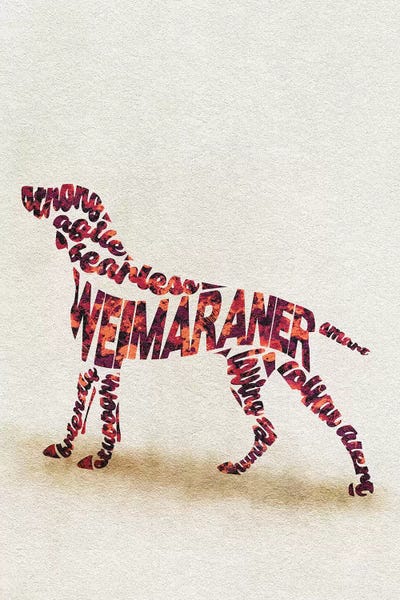 Weimaraners: Weimaraner by Ayse Deniz Akerman