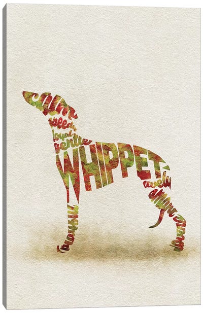 Whippet Canvas Art Print - Typographic Dogs