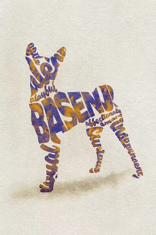 Basenji