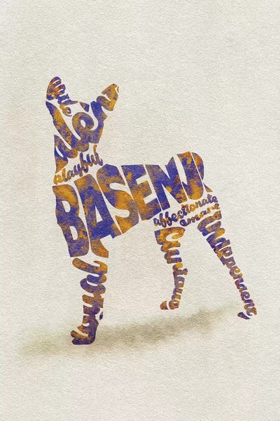 Basenjis: Basenji by Ayse Deniz Akerman